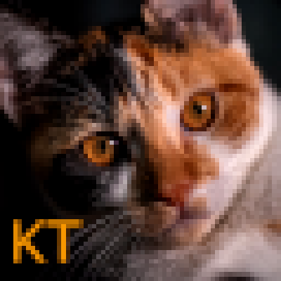 KittyTweaks