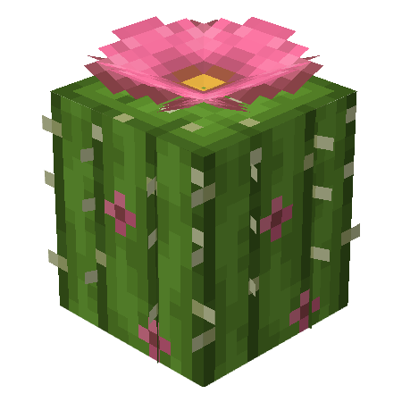 Mo's Desert Bloom
