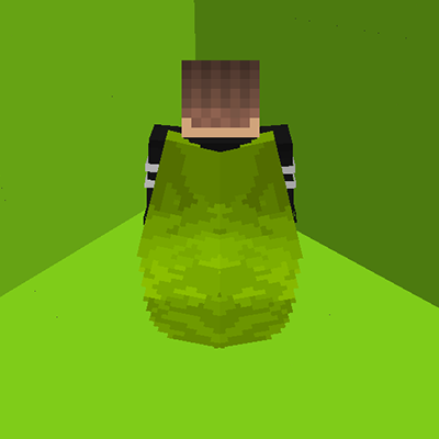 Visual durability of elytra