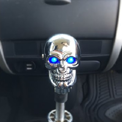 Bad to the Bones