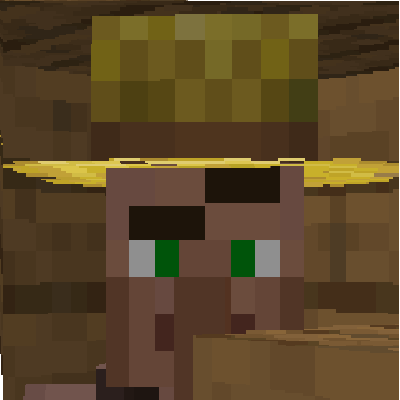 Villager raise eyebrow meme