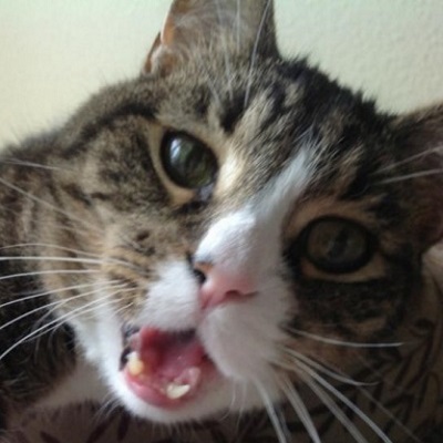 Villous integration Recipes