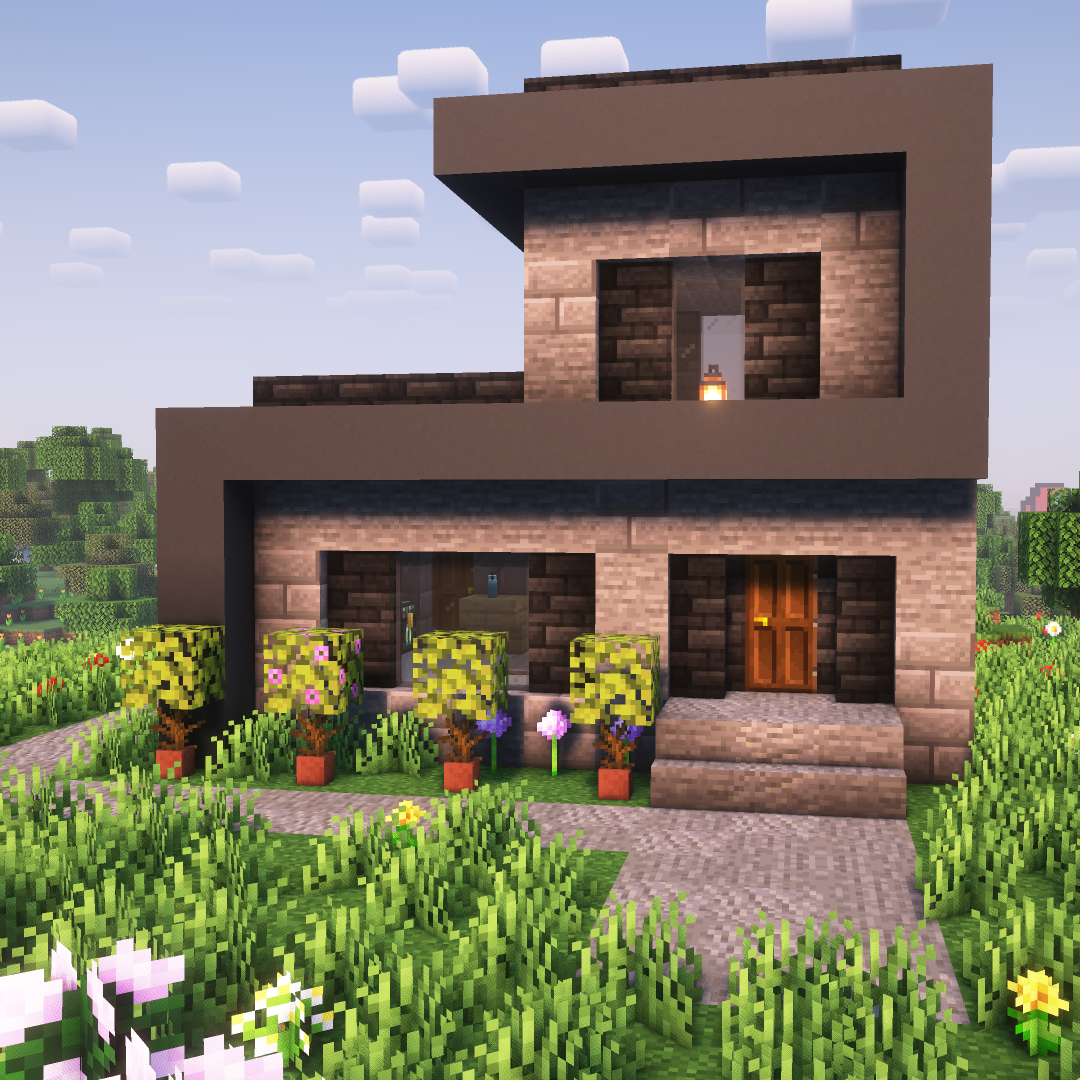 Rectangular Modern House