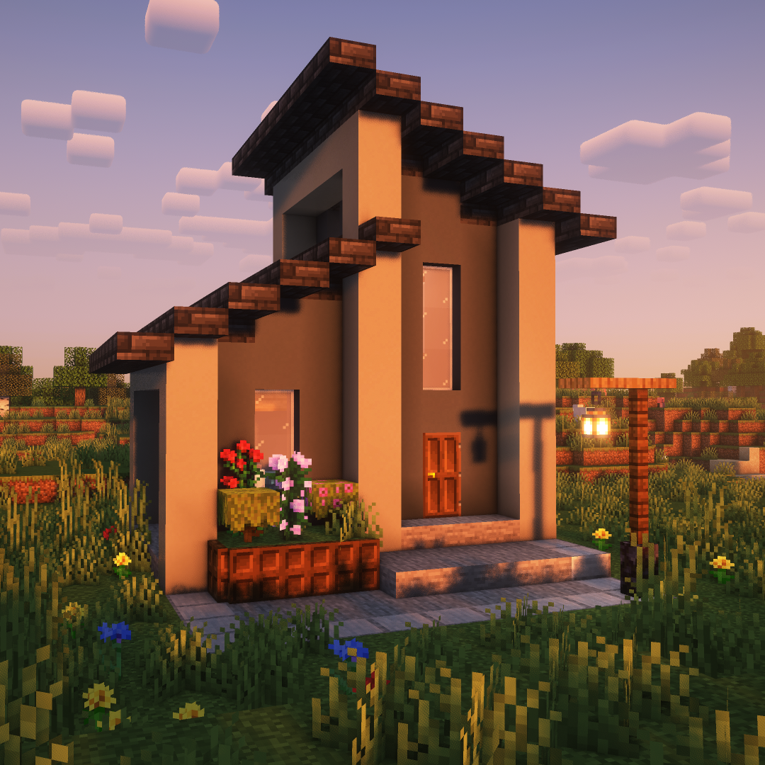Small Modern House