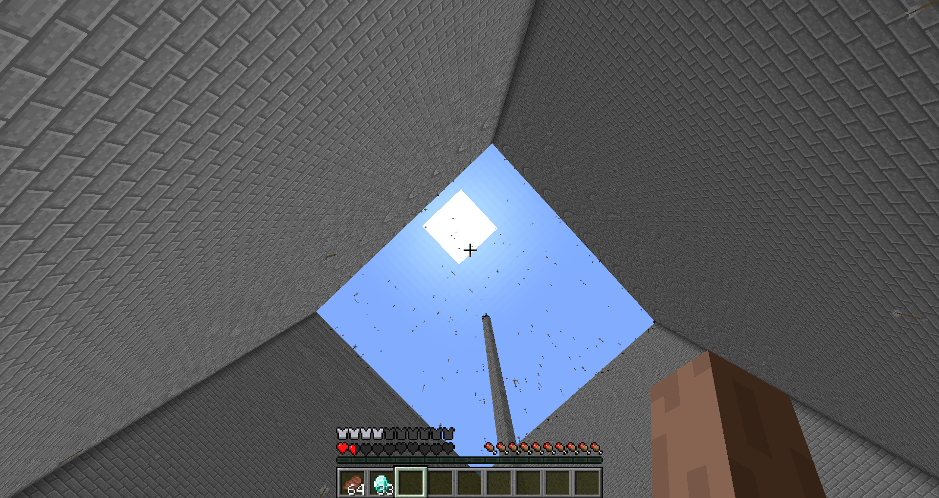 Arrow evader