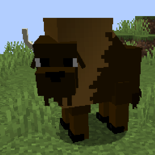 bison(cow)