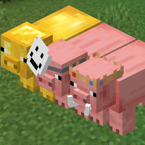 Anaor pigs