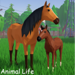 🐴 Animal Life: Forest RP🐺🐻🦌🦝🐰
