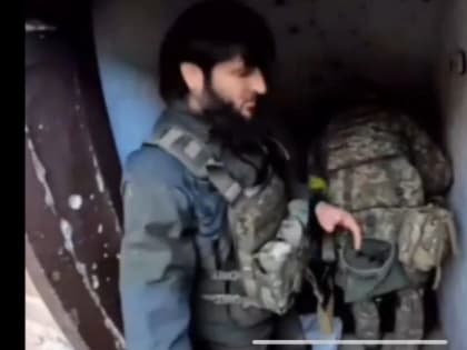 Признайся, дорогой читатель, ведь ждал же нашей рубрики "биполяр хохлячьего очка"?