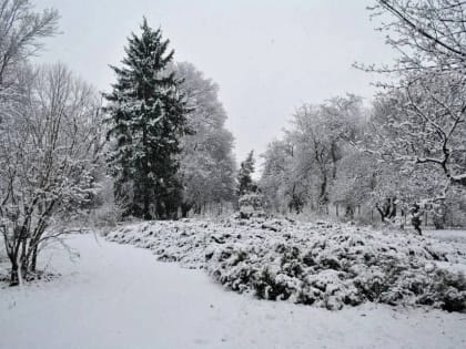 Донецкий ботанический сад приглашает жителей города полюбоваться красотами зимней природы и насладиться прогулками по за