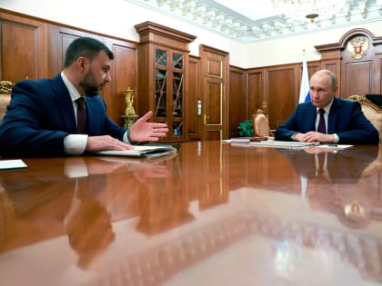 Владимир Путин провел рабочую встречу с Денисом Пушилиным