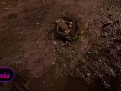 Последствия ударов ВСУ из РСЗО по Донецку публикуют из разных концов города