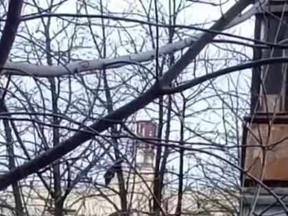 Горловка сегодня.. Всё актуальное здесь: