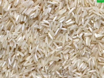 В России продлен временный запрет на вывоз риса