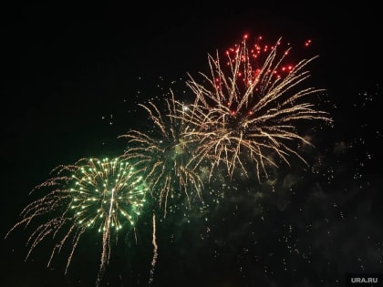 Как в России прошла новогодняя ночь 2024 года