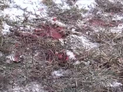 Роман Косарев: Сегодня украинские националисты убили двух гражданских в Петровском районе Донецка