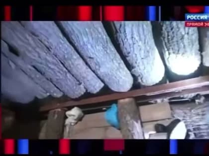 Сюжет про батальон Zлого