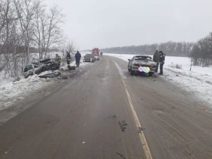 На заснеженной трассе в Ростовской области два человека погибли в ДТП