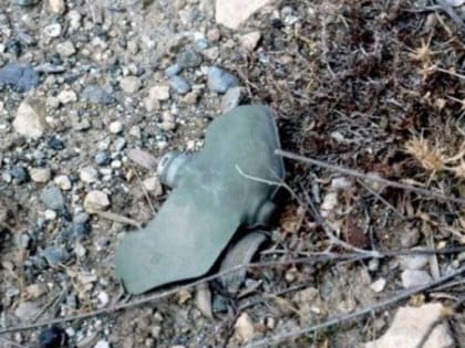 На кладбище в Донецке мирный житель подорвался на украинской мине «Лепесток»