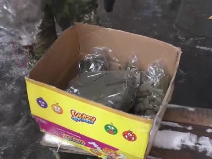 "Народный фронт" продолжает оказывать поддержку подразделениям 1-го Донецкого армейского корпуса