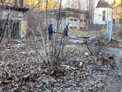 Не ждем, что кто-то сделает