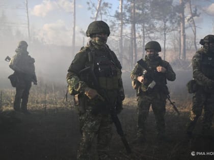 Предприниматели Кубани собрали овощи, мясо и новогодние наборы для бойцов в ДНР