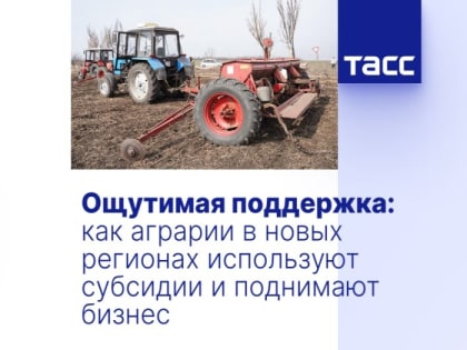 Ощутимая поддержка: как аграрии в новых регионах используют субсидии и поднимают бизнес