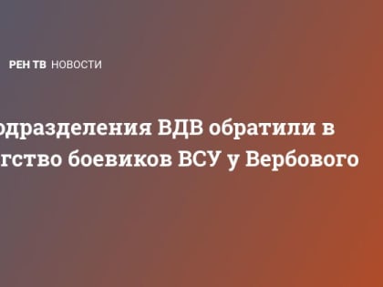 Подразделения ВДВ обратили в бегство боевиков ВСУ у Вербового