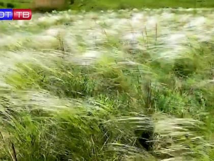 В 21.30 смотрите на «ОПЛОТ ТВ» документальный фильм «Донбасс – русская земля»