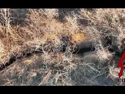 Бои под Донецком: «Спарта» перед атакой уничтожает силы ВСУ дронами Mavic