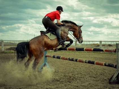 Югра передала спортивный инвентарь макеевским наездникам