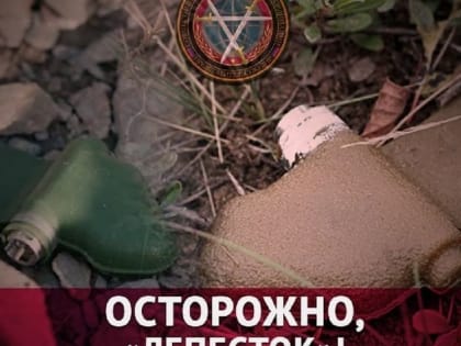 Мирный житель подорвался на мине «Лепесток» в Куйбышевском районе Донецка