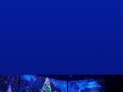 Многодетные семьи из Волновахи и детвора с родителями из Артёмовска проводят новогодние праздники в Москве, в столице на