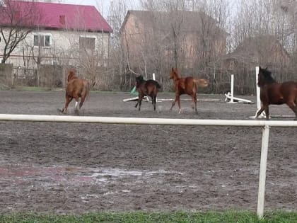 Вторник начал с поездки в СДЮШОР Локомотив