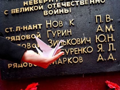 Мероприятия, посвященные Дню белых журавлей, прошли в общеобразовательных организациях ДНР