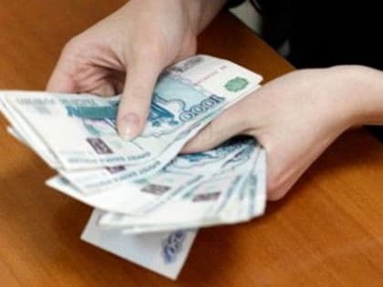 Стражи порядка раскрыли кражу в Ждановке