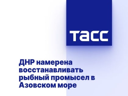 ДНР намерена восстанавливать рыбный промысел в Азовском море