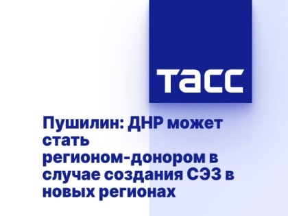 Пушилин: ДНР может стать регионом-донором в случае создания СЭЗ в новых регионах