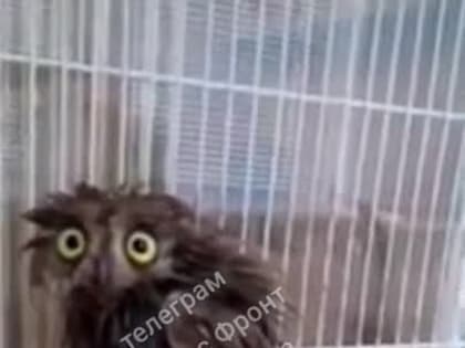 Примерно так мы выглядим после Нового года!