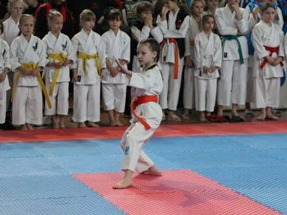 Более 300 спортсменов приняли участие в первых в ЛНР соревнованиях по всестилевому каратэ
