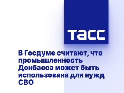 В Госдуме считают, что промышленность Донбасса может быть использована для нужд СВО