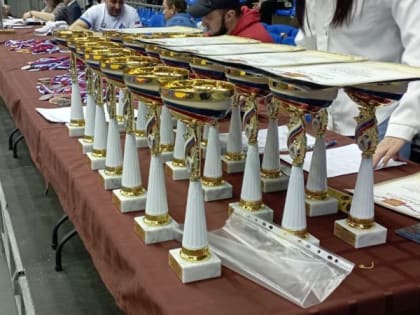 Наши борцы Донецкого училища олимпийского резерва им С.Бубки в Краснодаре завоевали4 на открытом первенстве по греко-рим