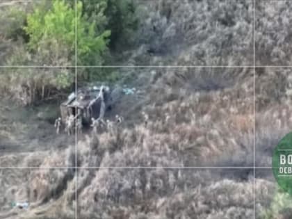 Наступление врага на Новомайорское: разгром британских «Мастифов» на стыке Запорожья и ДНР