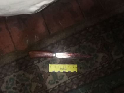 Житель Донецка задержан за нанесение телесных повреждений