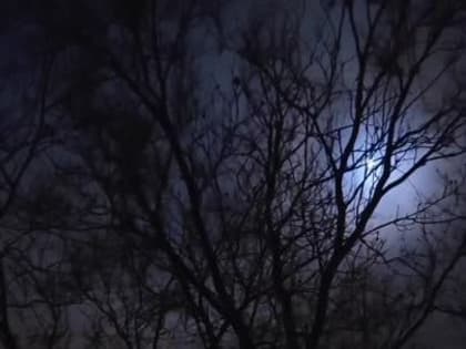 ВСУ наносят удары по Донецку