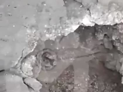 Родион Северьянов: 9 мирных человек погибло в результаты обстрела калининского района города Донецк! Случилось буквально