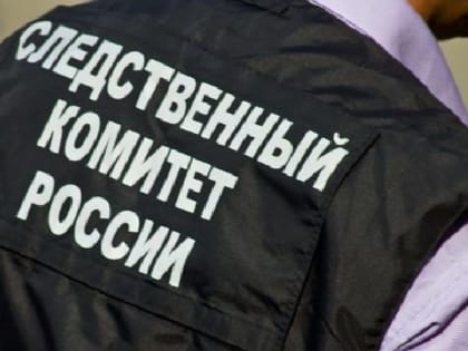 Следственный комитет России будут расследовать преступления ВСУ против мирного населения Донбасса