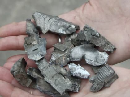 Украинские войска вновь обстреляли Донецк