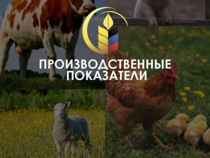 Артем Крамаренко поделился некоторыми производственными показателями