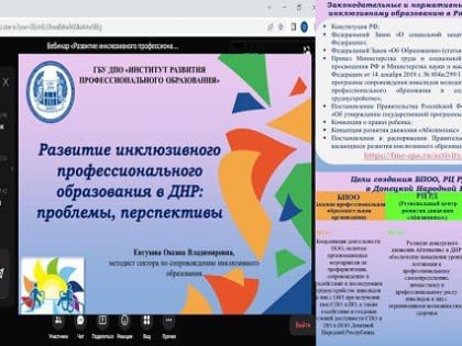 В Институте развития профессионального образования прошел вебинар по вопросам развития инклюзивного образования в ДНР